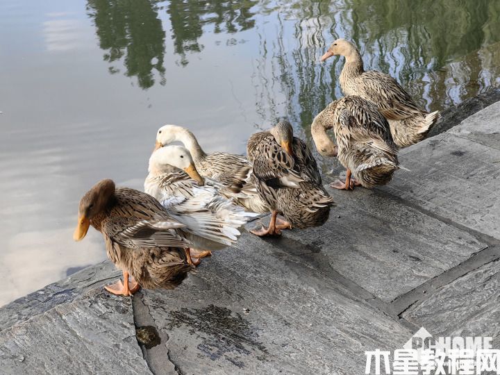 华为Mate 50 Pro评测：高端代名词 实打实的升级(图21)
