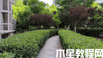 荣耀70系列评测：全新换代档位王者 体验爷青回！(图8)