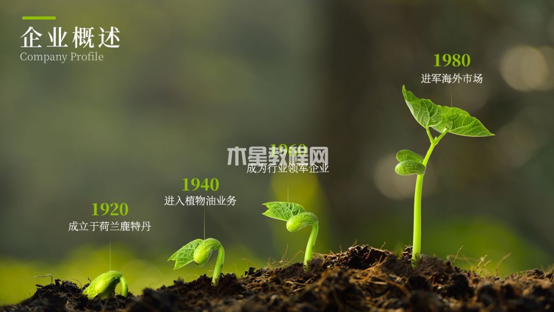 PPT中如何制作时间线？|office办公软件入门基础教程(图15)