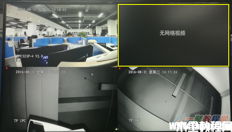 tplink[安防] 监控画面提示“无网络视频”，怎么处理(图1)