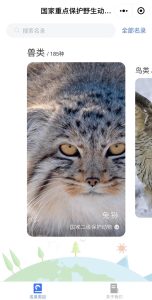 “国家重点保护动物名录”小程序上线：提供保护动物信息查询