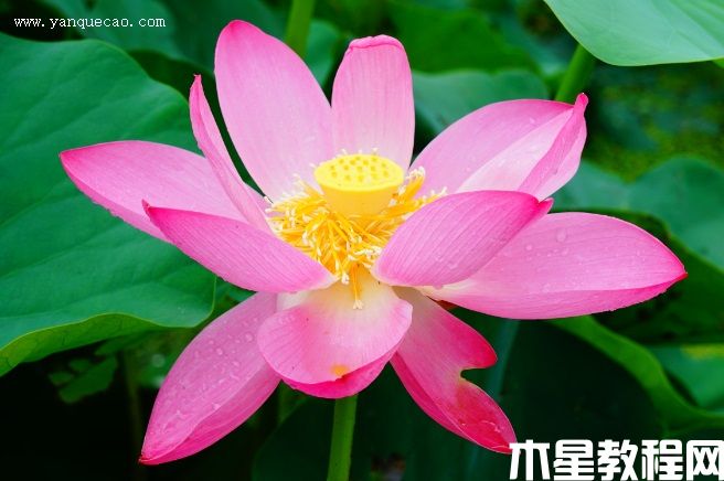 辽宁铁宁 辽宁铁宁