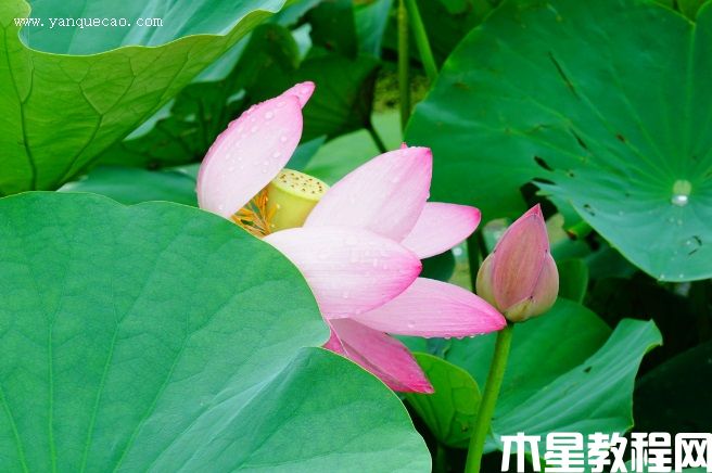 辽宁铁宁 辽宁铁宁