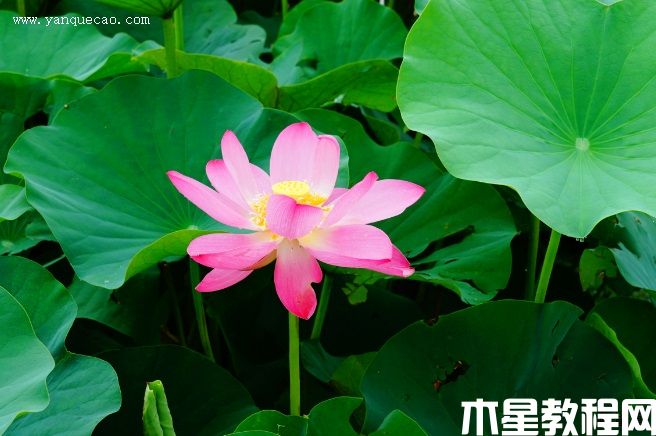 辽宁铁宁(图3) 辽宁铁宁