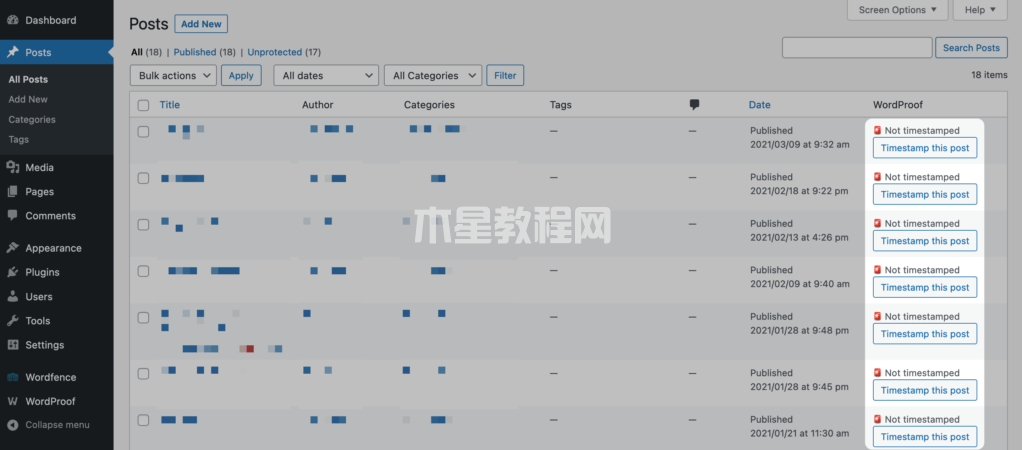 时间戳选项