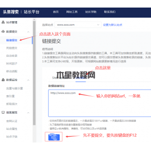 头条站长平台的site_id和Cookie的获取教程