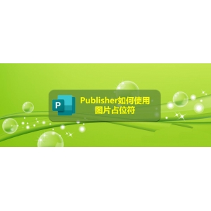 Publisher图片占位符怎么使用?