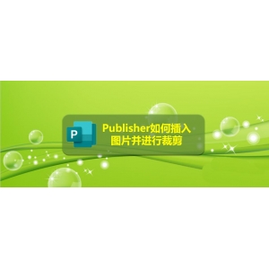 Publisher怎么裁剪图片? Publisher图片裁剪的教程
