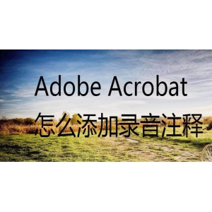 Acrobat怎么给pdf文件添加录音注释? Acrobat