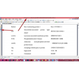 CAJViewer论文不显示目录怎么办? CAJViewer